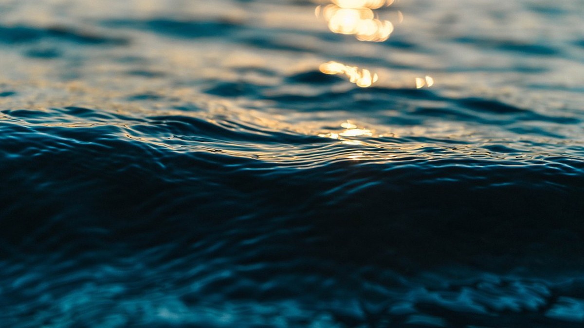 Азовське море